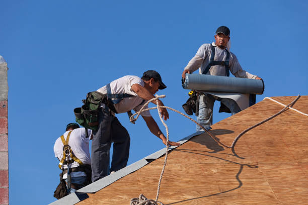Best Shingle Roofing Installation  in Lake Ripley, WI